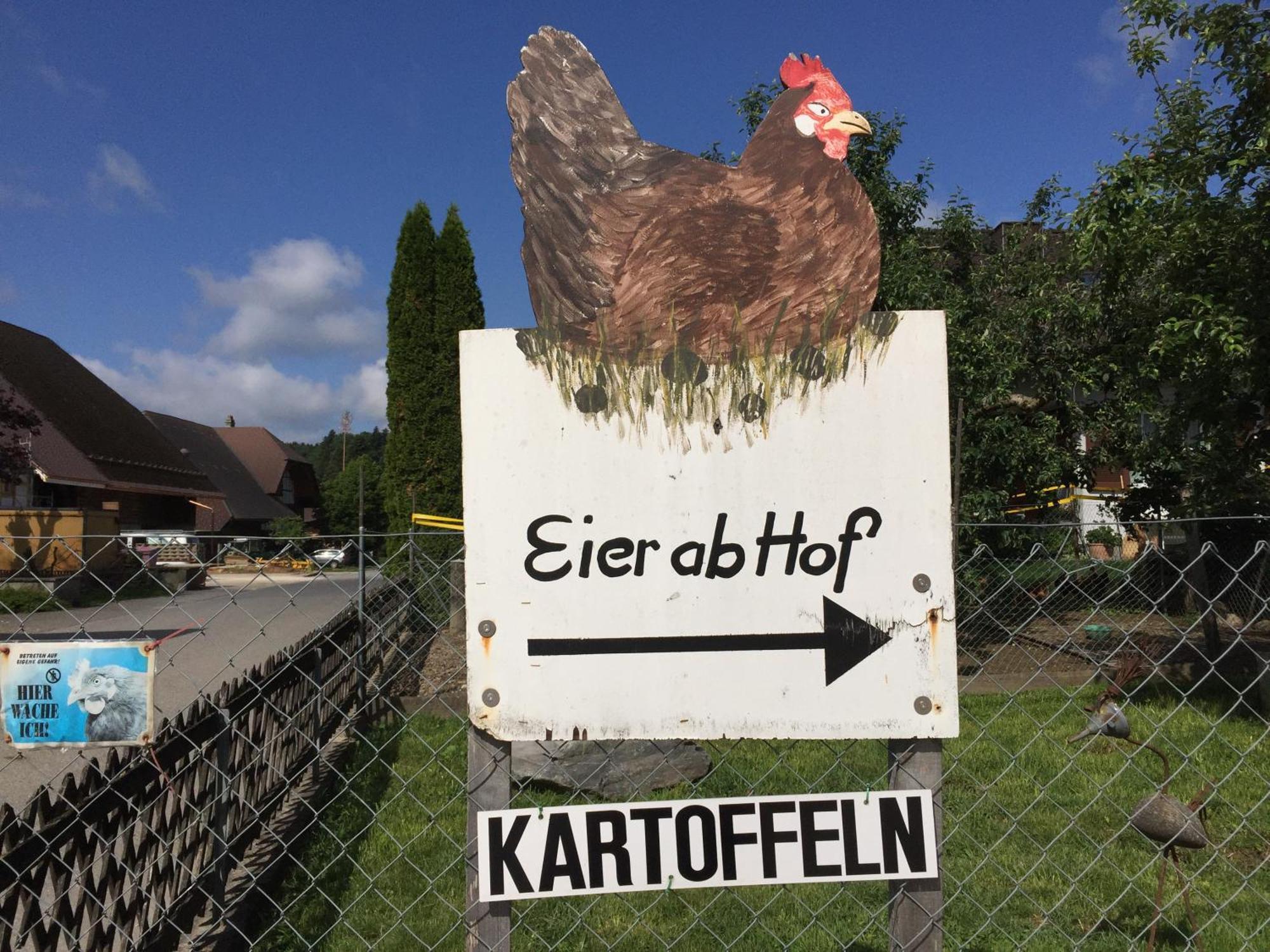 "Zur Alten Schmiede", 70M2 Studio Mit Kaminfeuer Und Sauna Fraubrunnen Exterior foto