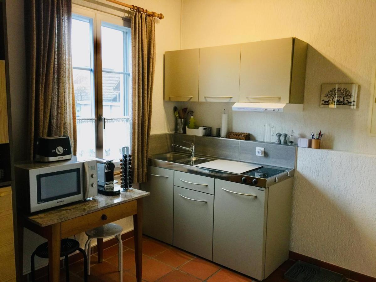 "Zur Alten Schmiede", 70M2 Studio Mit Kaminfeuer Und Sauna Fraubrunnen Exterior foto